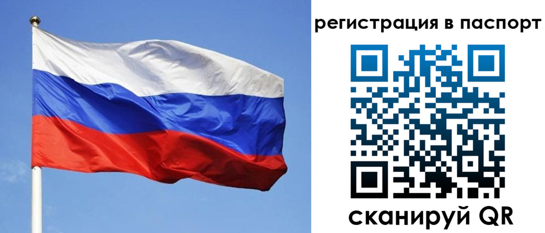 прописка штамп в Рыбинске